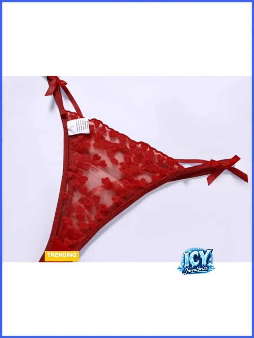 Sexy Lace Lingerie Set with Underwire Bralette and Bikini Panty